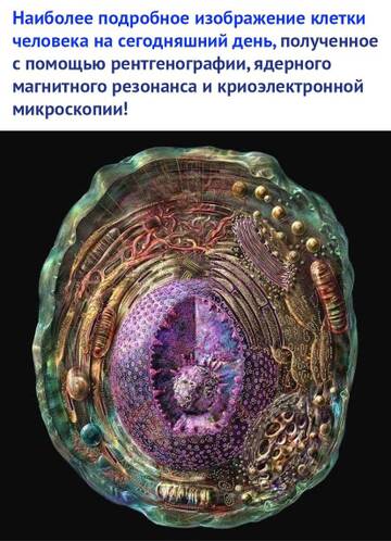 https://upforme.ru/uploads/001a/b7/49/118/t483364.jpg