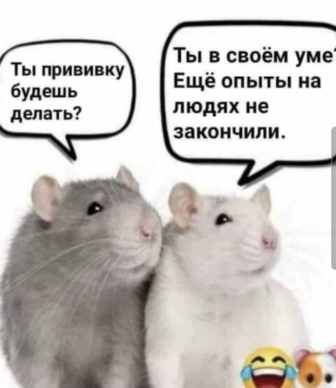 https://upforme.ru/uploads/001a/b7/49/119/t554535.jpg