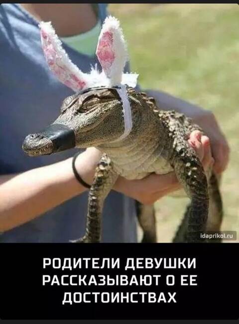 https://upforme.ru/uploads/001a/b7/49/119/t900529.jpg