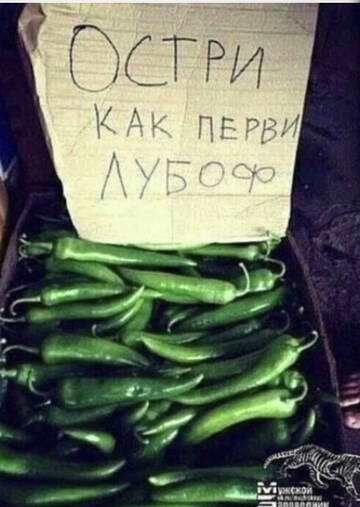 https://upforme.ru/uploads/001a/b7/49/119/t934527.jpg