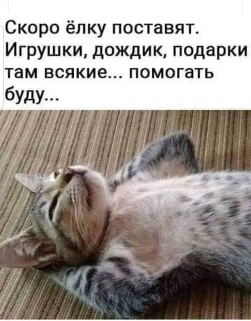 https://upforme.ru/uploads/001a/b7/49/120/t447123.jpg