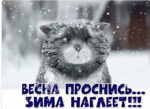 https://upforme.ru/uploads/001a/b7/49/120/t813631.jpg