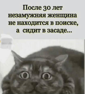 https://upforme.ru/uploads/001a/b7/49/149/t248139.jpg