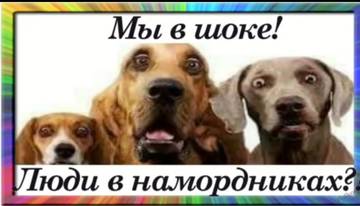 https://upforme.ru/uploads/001a/b7/49/15/t78300.jpg