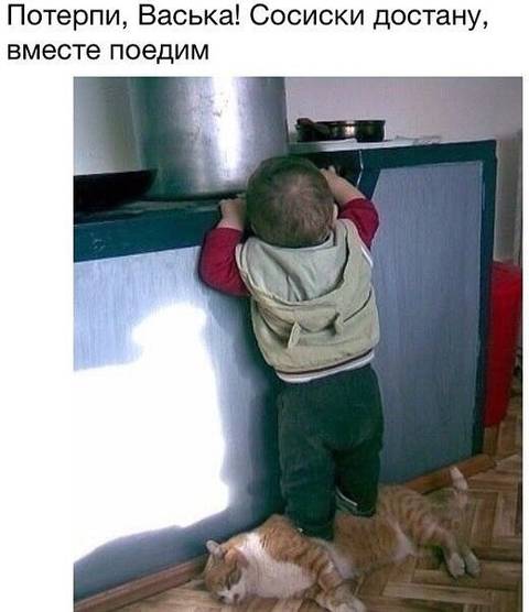 https://upforme.ru/uploads/001a/b7/49/15/t931330.jpg