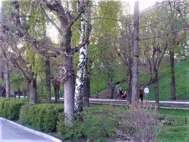 https://upforme.ru/uploads/001a/b7/49/168/381190.jpg