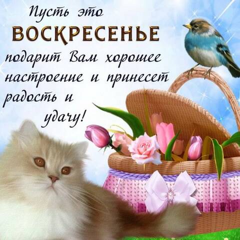 https://upforme.ru/uploads/001a/b7/49/168/t828603.jpg