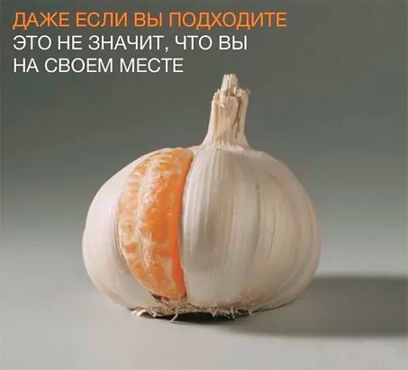https://upforme.ru/uploads/001a/b7/49/169/t461283.jpg