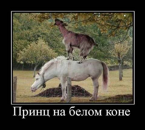 https://upforme.ru/uploads/001a/b7/49/171/t219656.jpg