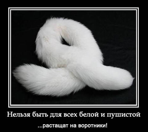 https://upforme.ru/uploads/001a/b7/49/171/t819574.jpg