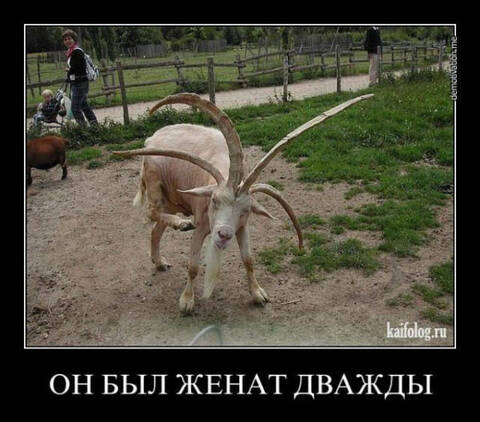 https://upforme.ru/uploads/001a/b7/49/171/t845848.jpg