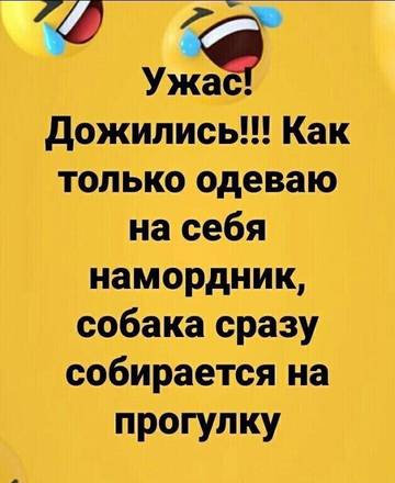 https://upforme.ru/uploads/001a/b7/49/18/t152428.jpg