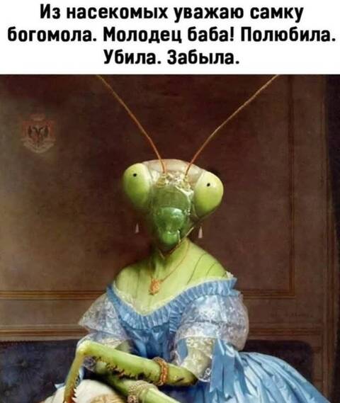 https://upforme.ru/uploads/001a/b7/49/19/t260000.jpg