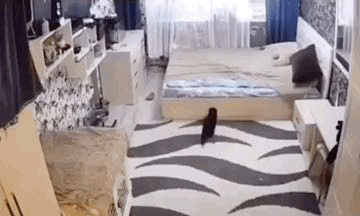 https://upforme.ru/uploads/001a/b7/49/19/t316120.gif