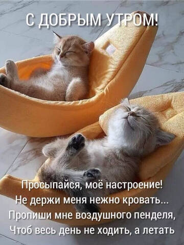 https://upforme.ru/uploads/001a/b7/49/19/t348699.jpg