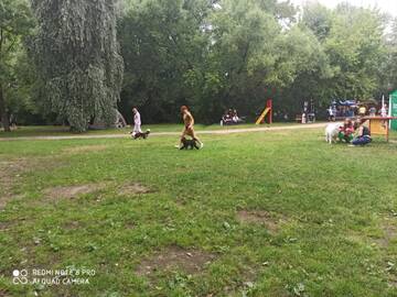 https://upforme.ru/uploads/001a/b7/49/195/t108238.jpg