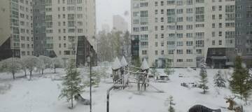 https://upforme.ru/uploads/001a/b7/49/195/t201499.jpg