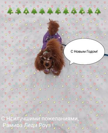 https://upforme.ru/uploads/001a/b7/49/195/t305377.jpg