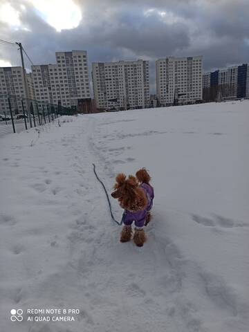 https://upforme.ru/uploads/001a/b7/49/195/t313067.jpg
