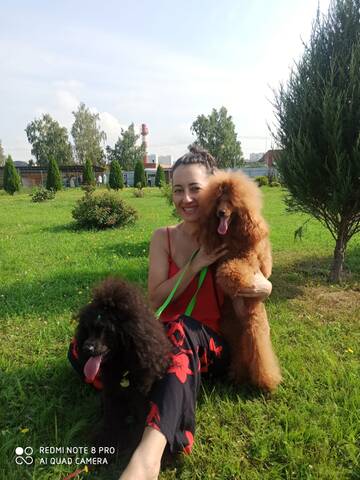 https://upforme.ru/uploads/001a/b7/49/195/t330210.jpg