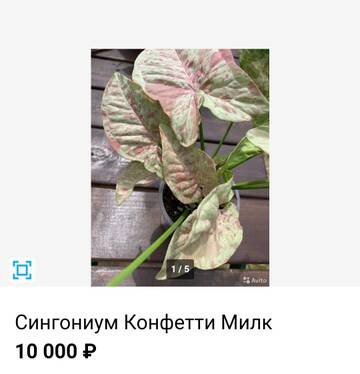 https://upforme.ru/uploads/001a/b7/49/195/t408098.jpg