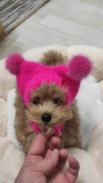 https://upforme.ru/uploads/001a/b7/49/195/t408380.jpg
