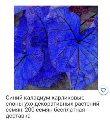 https://upforme.ru/uploads/001a/b7/49/195/t536432.jpg