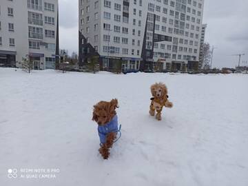 https://upforme.ru/uploads/001a/b7/49/195/t632059.jpg