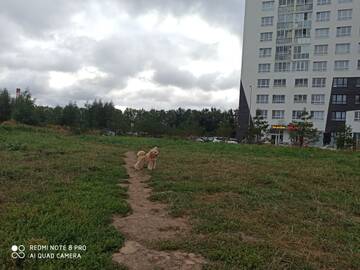 https://upforme.ru/uploads/001a/b7/49/195/t772748.jpg