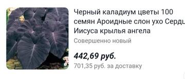 https://upforme.ru/uploads/001a/b7/49/195/t810083.jpg