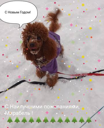 https://upforme.ru/uploads/001a/b7/49/195/t946409.jpg