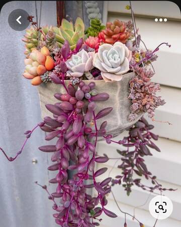https://upforme.ru/uploads/001a/b7/49/195/t96006.jpg