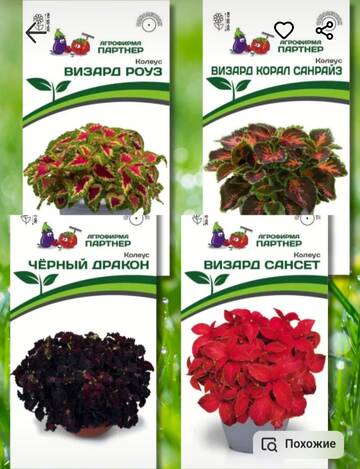 https://upforme.ru/uploads/001a/b7/49/195/t966465.jpg