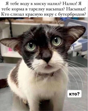 https://upforme.ru/uploads/001a/b7/49/198/t21730.jpg