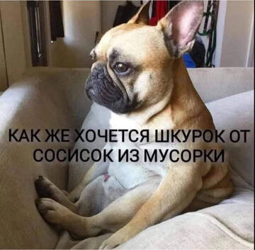 https://upforme.ru/uploads/001a/b7/49/198/t324074.jpg