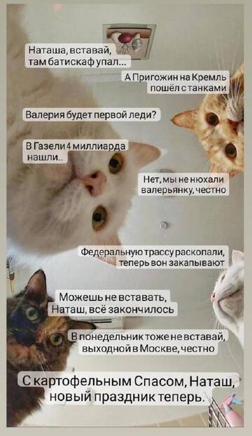 https://upforme.ru/uploads/001a/b7/49/198/t340496.jpg