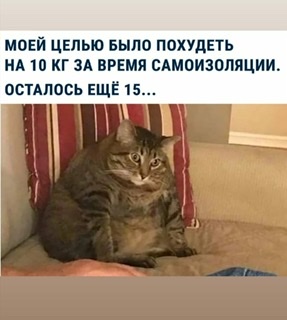 https://upforme.ru/uploads/001a/b7/49/198/t345255.jpg