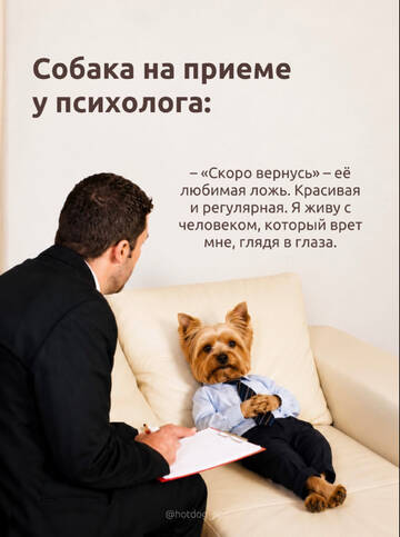 https://upforme.ru/uploads/001a/b7/49/198/t397590.jpg
