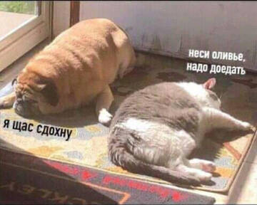 https://upforme.ru/uploads/001a/b7/49/198/t42867.jpg