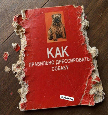 https://upforme.ru/uploads/001a/b7/49/198/t490448.jpg