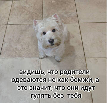 https://upforme.ru/uploads/001a/b7/49/198/t547935.jpg