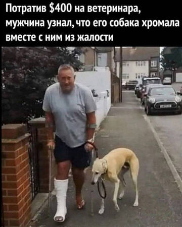https://upforme.ru/uploads/001a/b7/49/198/t681781.jpg