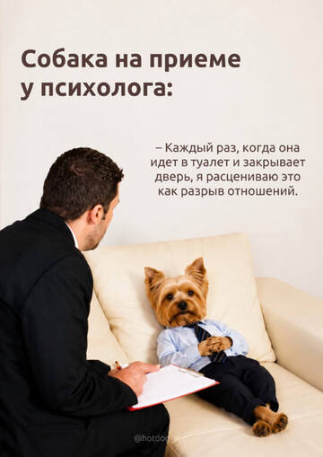 https://upforme.ru/uploads/001a/b7/49/198/t777511.jpg