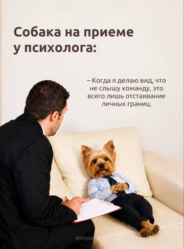 https://upforme.ru/uploads/001a/b7/49/198/t833820.jpg