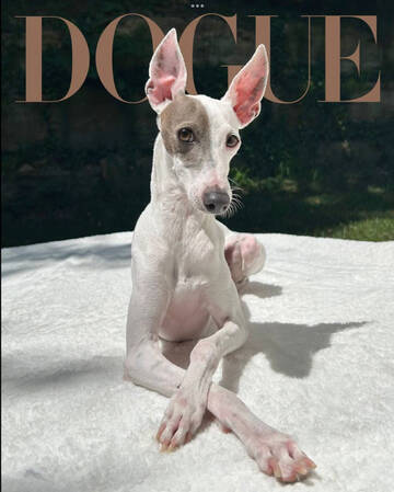https://upforme.ru/uploads/001a/b7/49/198/t972276.jpg