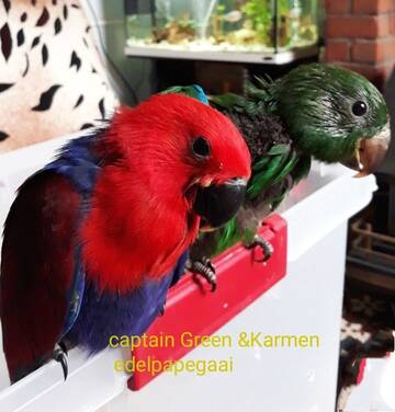 https://upforme.ru/uploads/001a/b7/49/20/t162646.jpg