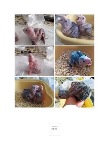 https://upforme.ru/uploads/001a/b7/49/20/t69497.jpg