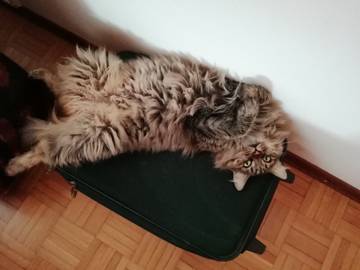https://upforme.ru/uploads/001a/b7/49/209/t421337.jpg