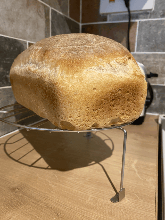 https://upforme.ru/uploads/001a/b7/49/211/654477.gif