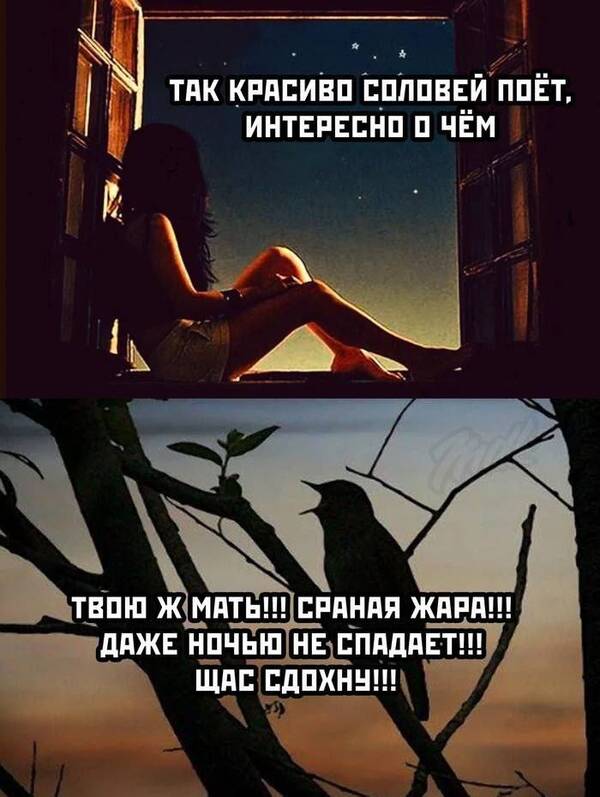 https://upforme.ru/uploads/001a/b7/49/211/t591863.jpg